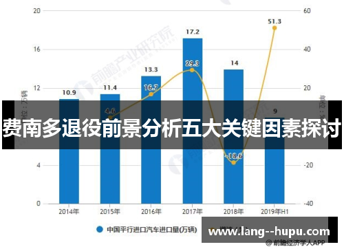费南多退役前景分析五大关键因素探讨